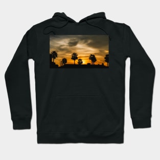 Palm Tree Sunset Hoodie